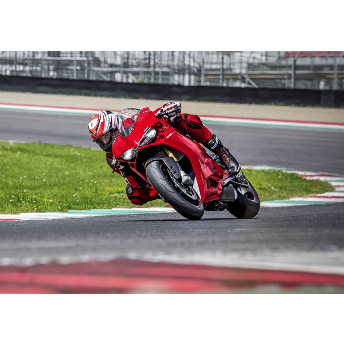 2015 ducati 1299 top