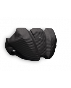 Cover strumentazione in carbonio per Ducati Streetfighter V2 my 25 - da ordinare