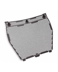 Griglia in alluminio per radiatore acqua Ducati Streetfighter V4 My 25