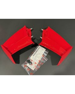 Ali originali Ducati Panigale V4 R My 26 da montare su V4 s My 25 -da ordinare